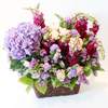 



                                                        Purple Hydrangea Basket