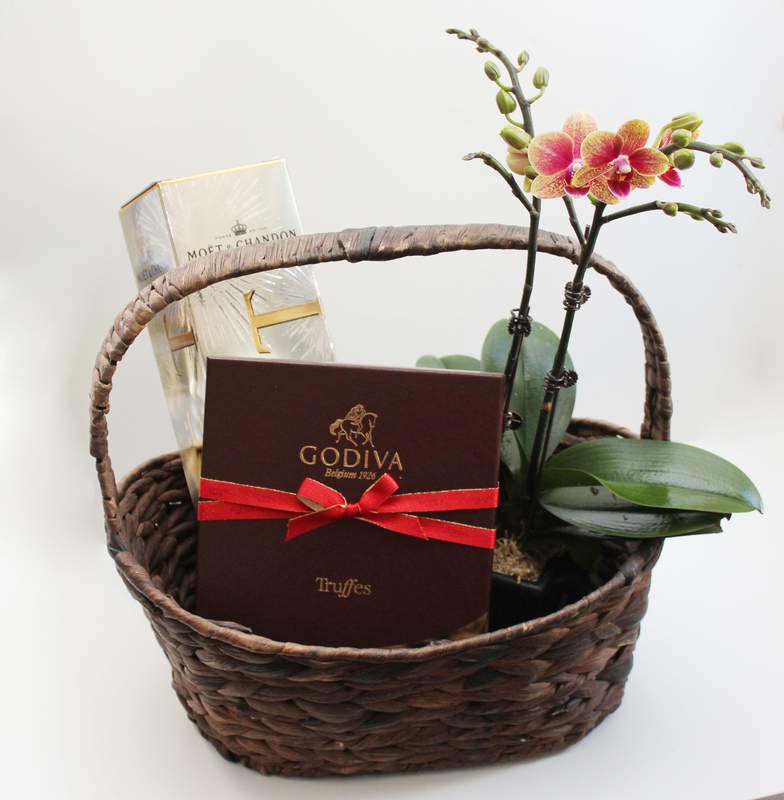 



                                    Moet, Godiva and Orchid