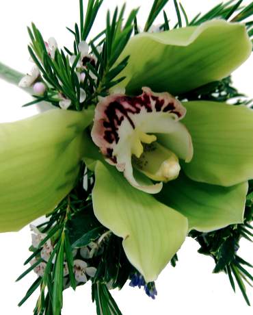 Corsage Cymbidium 蕙蘭襟花 