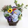 



                                                        Flower with Godiva Biscuit Hamper