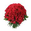 



                                                        99 Pretty Red Roses