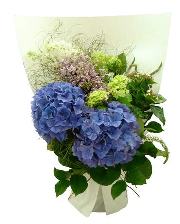 Purple Hydrangea Bouquet for Valentine's day 紫繡球花束（情人節花束）