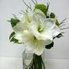 



                                                        Amaryllis Wedding Bouquet