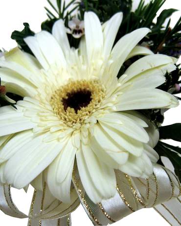 Corsage Ivory 太陽菊襟花