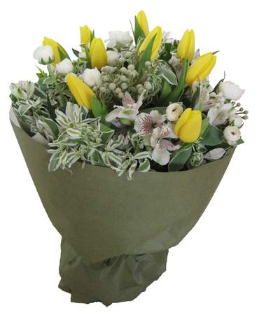 Yellow Tulips bouquet 友誼不變