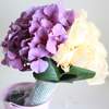 



                                                        Hydrangea Roses Wedding Bouquet