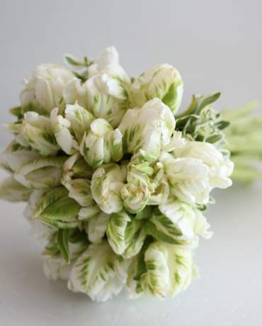 Tulips wedding bouquet 甜美婚禮