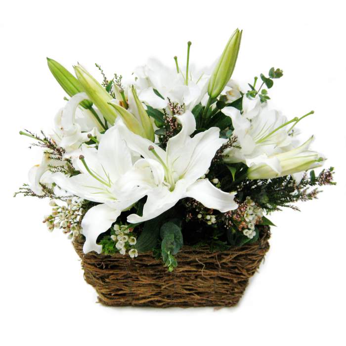 White Lily basket