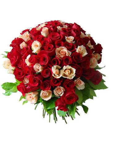 99 Red and Champagne Roses 真的戀愛了