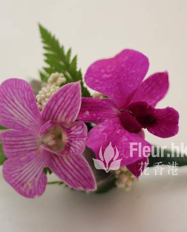 Corsage Orchid  泰國蘭襟花