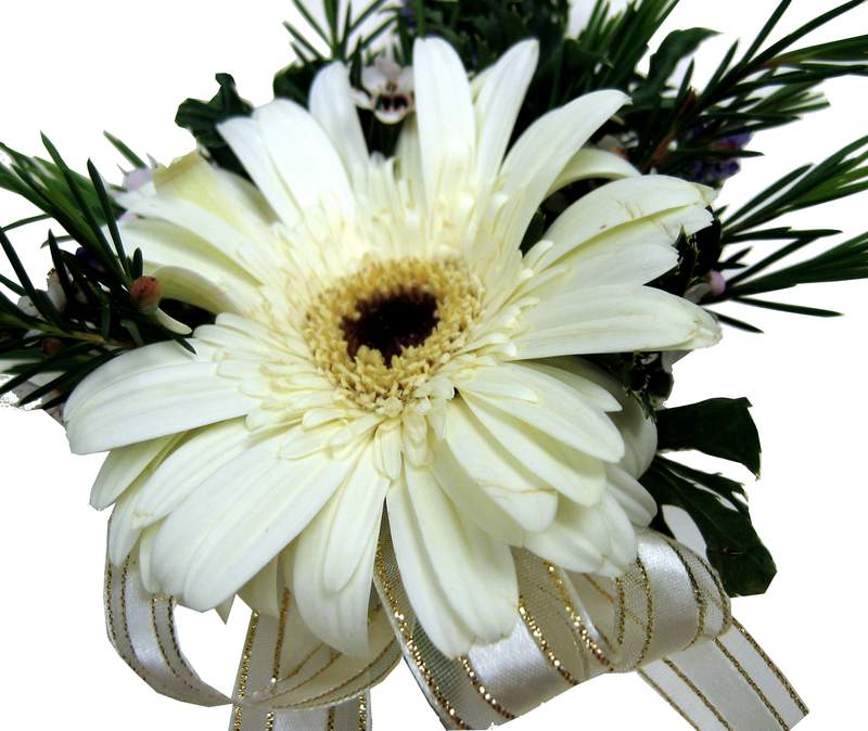 



                                    Corsage Ivory