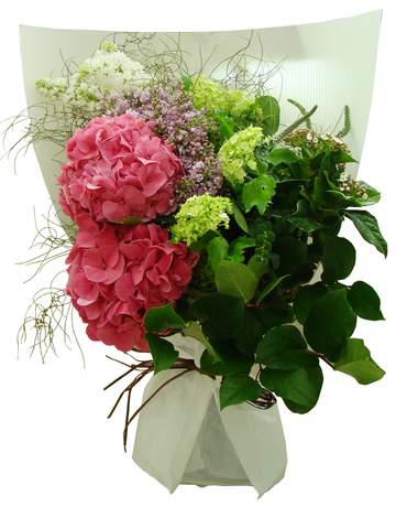 Pink Hydrangea Bouquet for Valentine's Day 粉繡球花束（情人節花束）