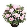 



                                                        Pink Roses Basket