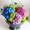 



                                                        5 Hydrangea Bouquet