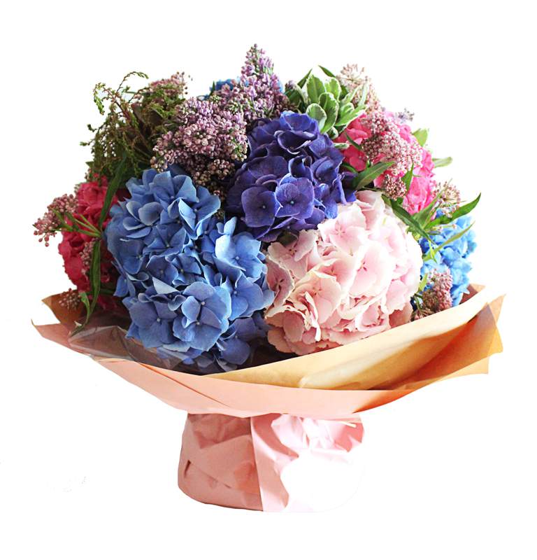 



                                    10 Hydrangea Bouquet for Valentine's Day